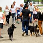 zdjęcie nr 35