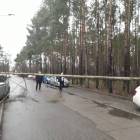zdjęcie nr 14