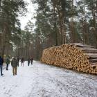 Fotka nr 1 z 8