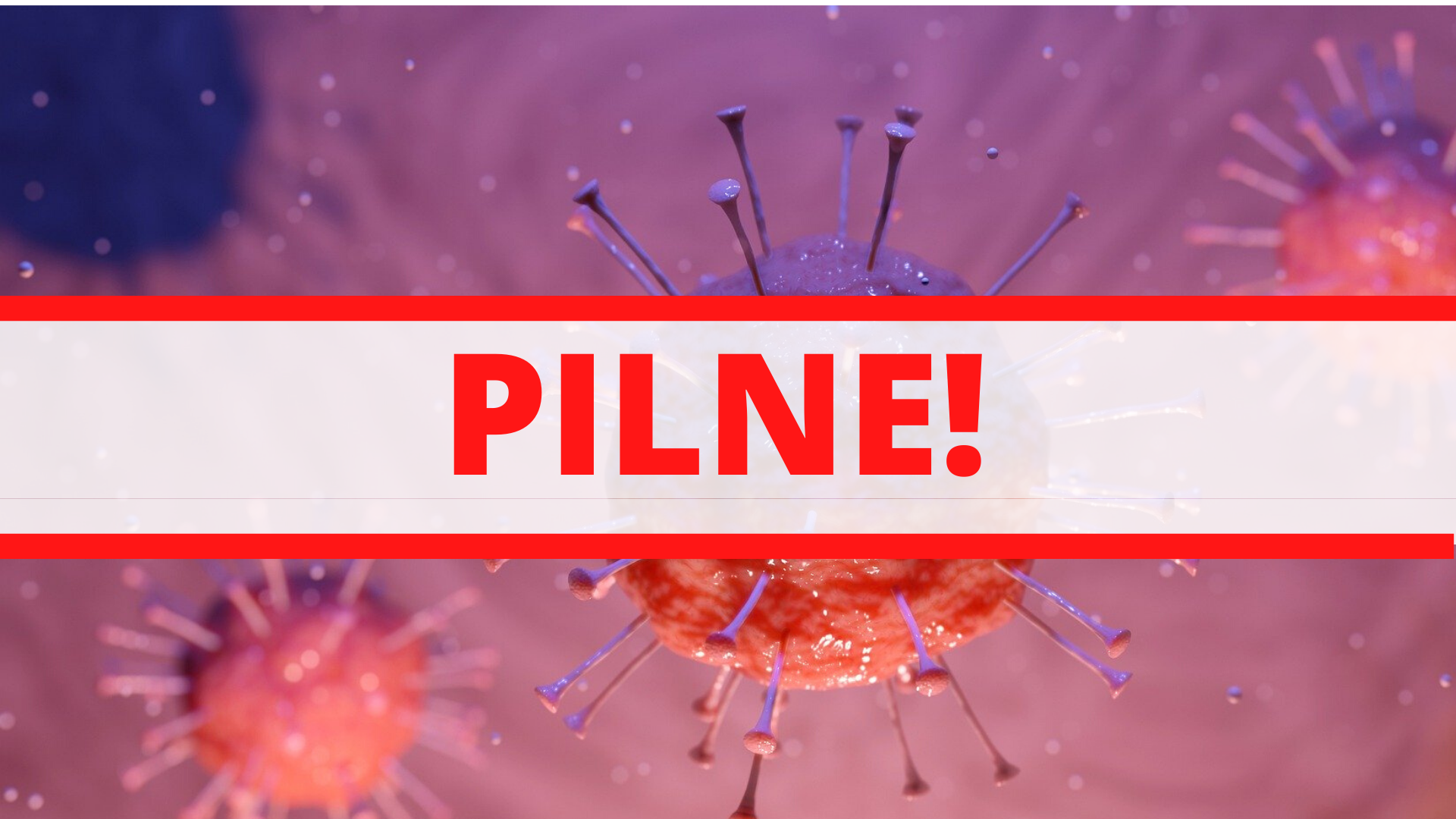 Zdjęcie: Wawer Warszawa wiadomości Wawer Dzielnica Warszawy Portal Wawra iwawer