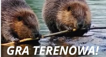 Wskocz na trop bobra! Niezwykła gra terenowa na Plaży Romantycznej w Wawrze