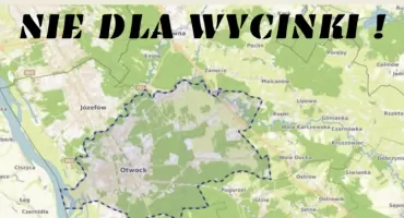 Wielka wycinka w cieniu urzędowych procedur? Otwocczanie walczą o 12 hektarów lasu!