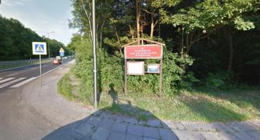 Wawer na drugim miejscu eko-rangingu dzielnic Warszawy